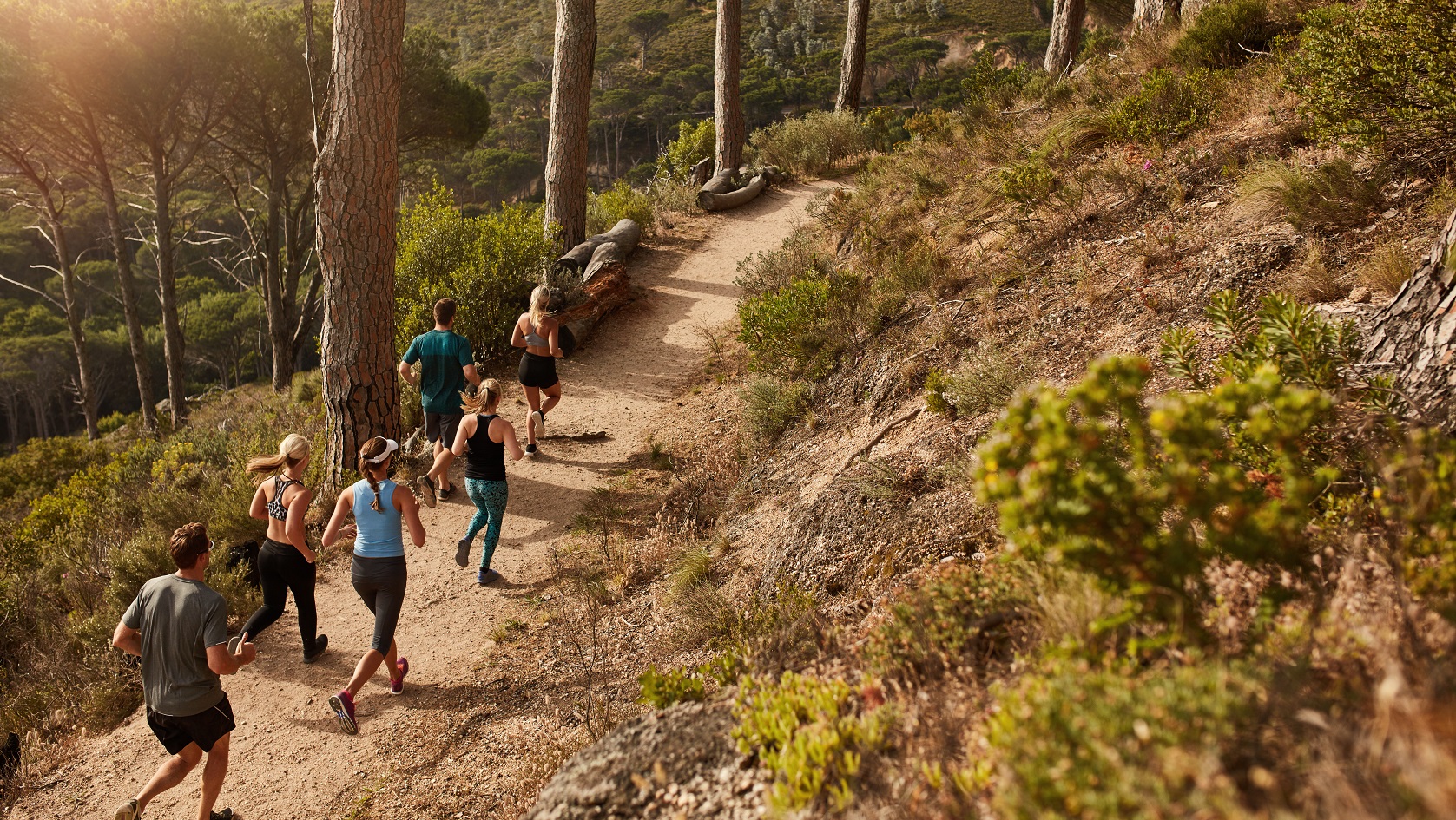 Group of young people trail running on a mountain path. Runners working out in beautiful nature.