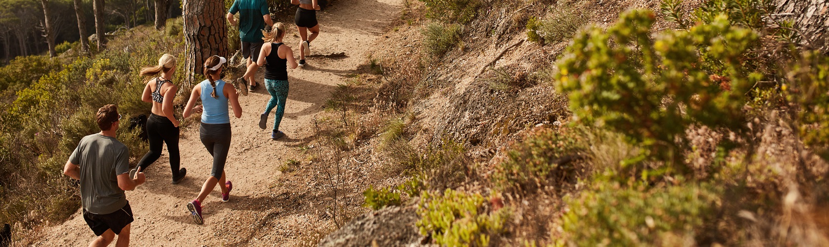 A group of trail runners