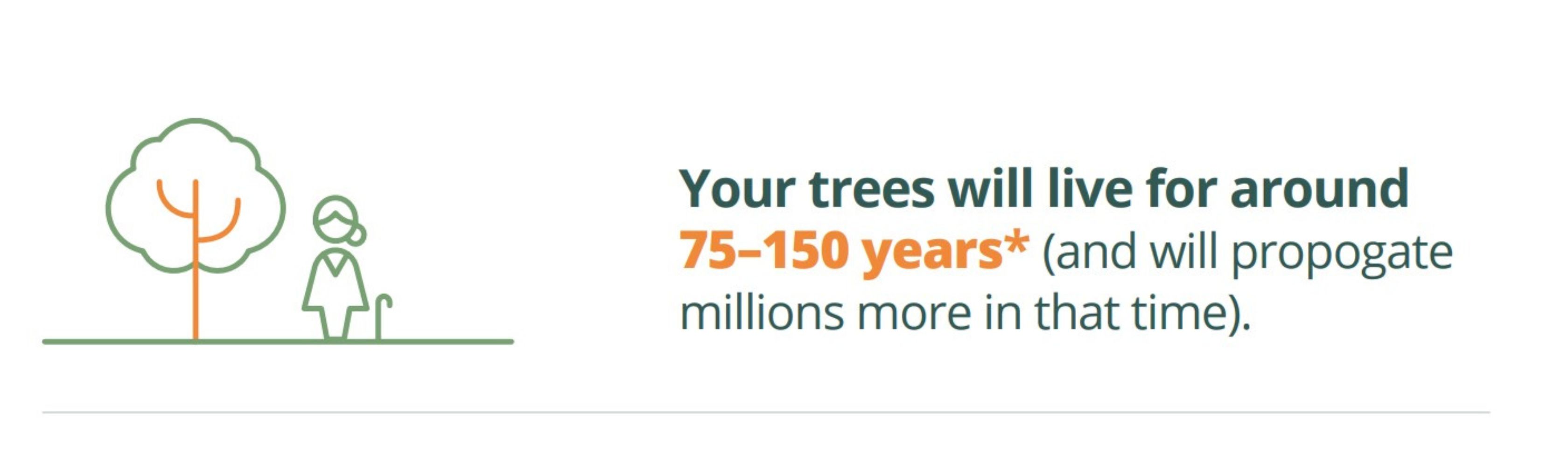 Text reads "Your trees will live for around 75-155 years*