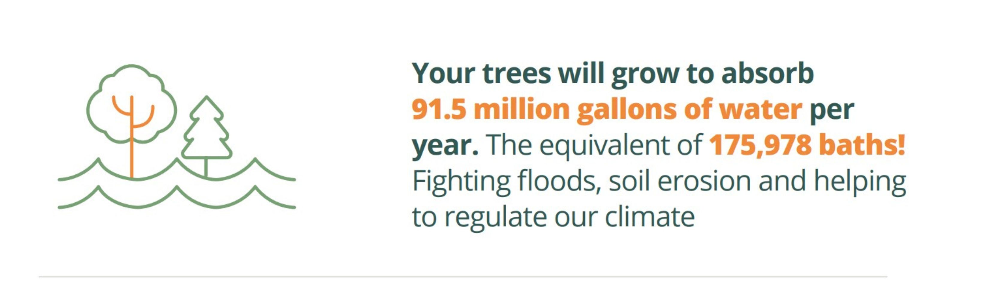 Text reads "Your trees will grow to absorb 91.5 million gallons per year, fighting flooding and soil erosion."