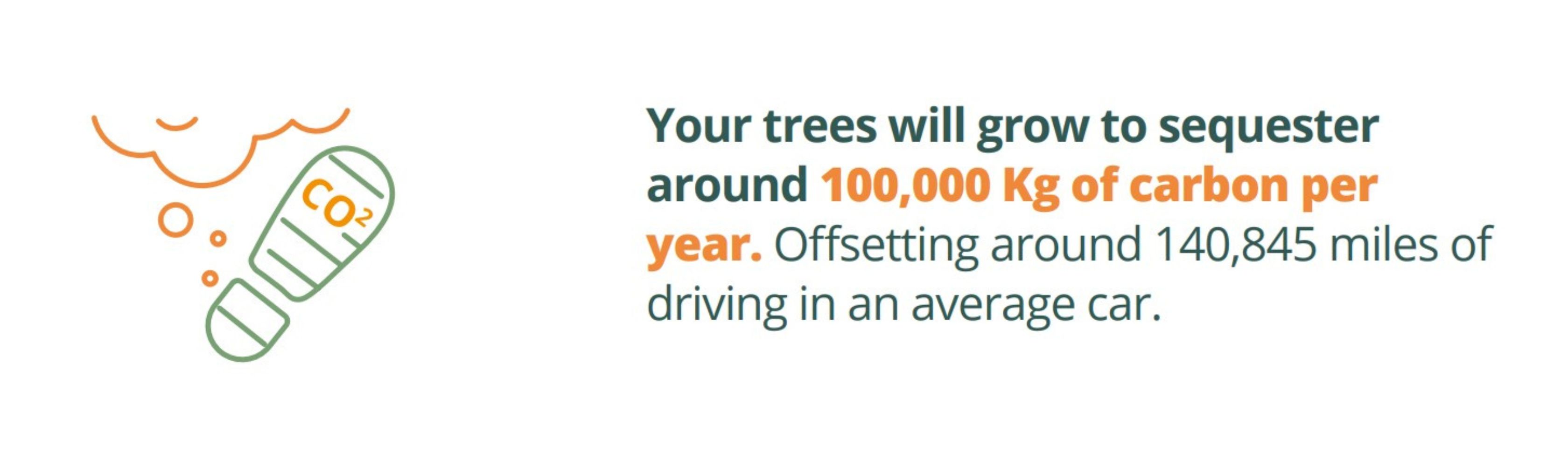 Text reads "Our trees will grow to sequester around 100,000 Kg of carbon per year.*