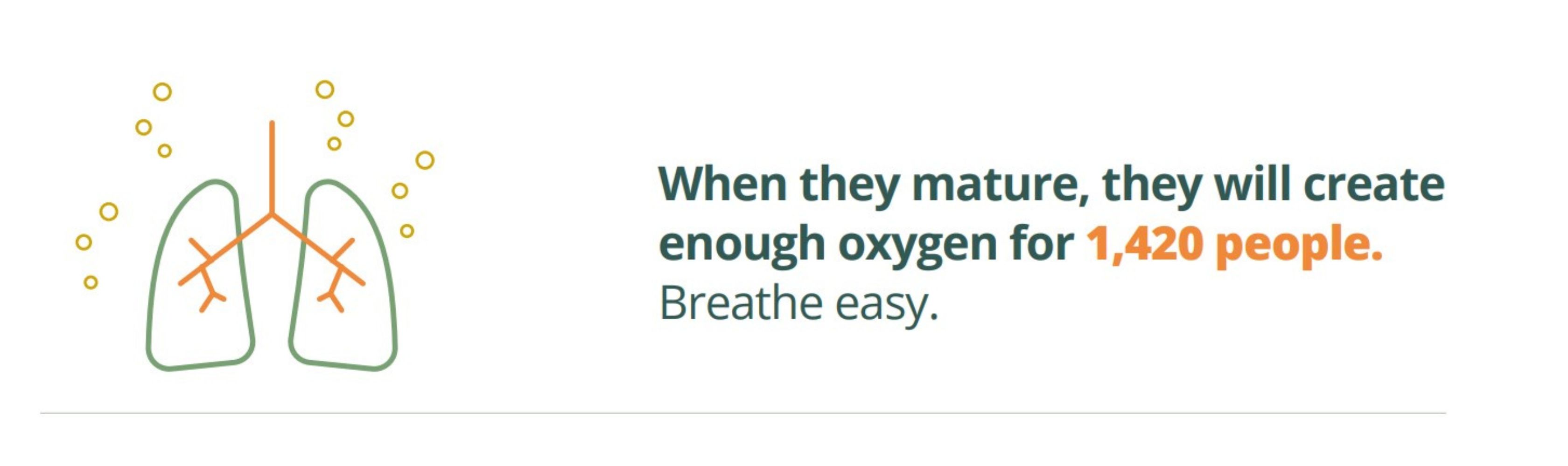 Text reads "When they mature, they will create  enough oxygen for 1,420 people."