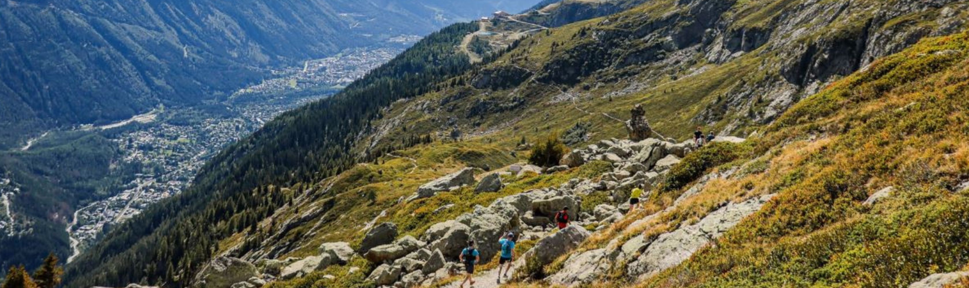 A mountain view of the French Alps in summer