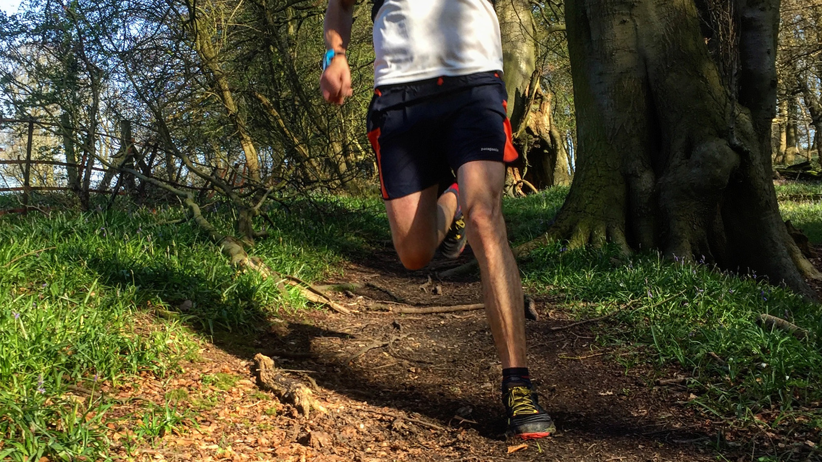 Man running in the forest
