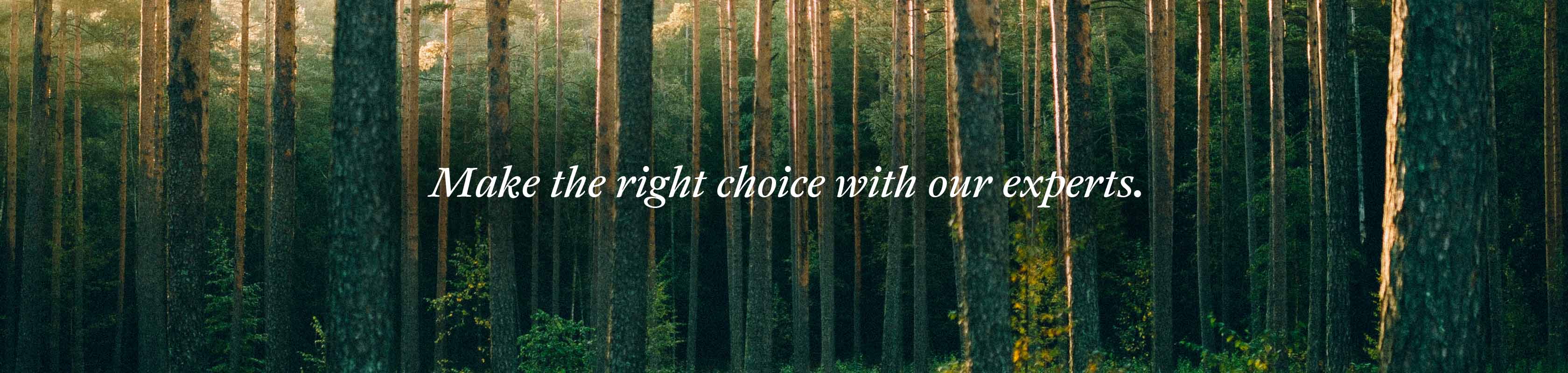 Make the right choice with our experts on a forest background.