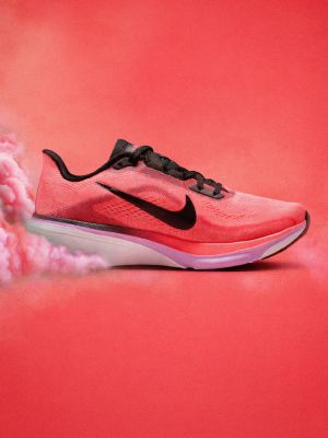 Shop Nike pegausus 42