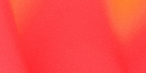 Shop raccessories black friday offer