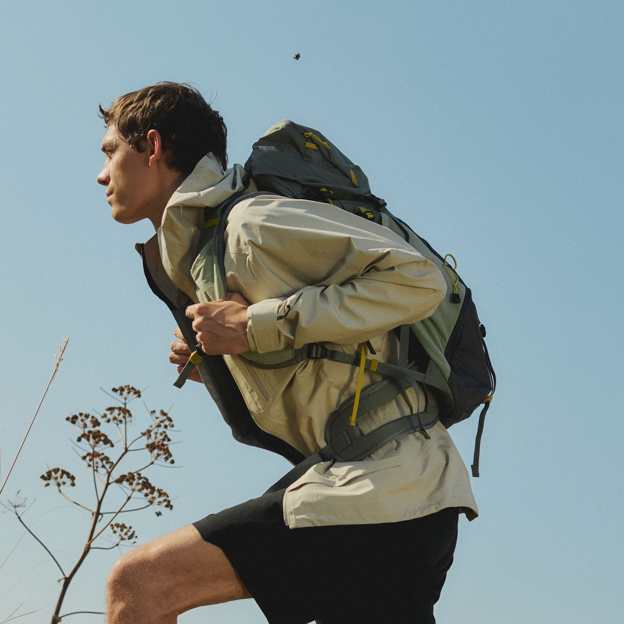Shop Packs on Runners need